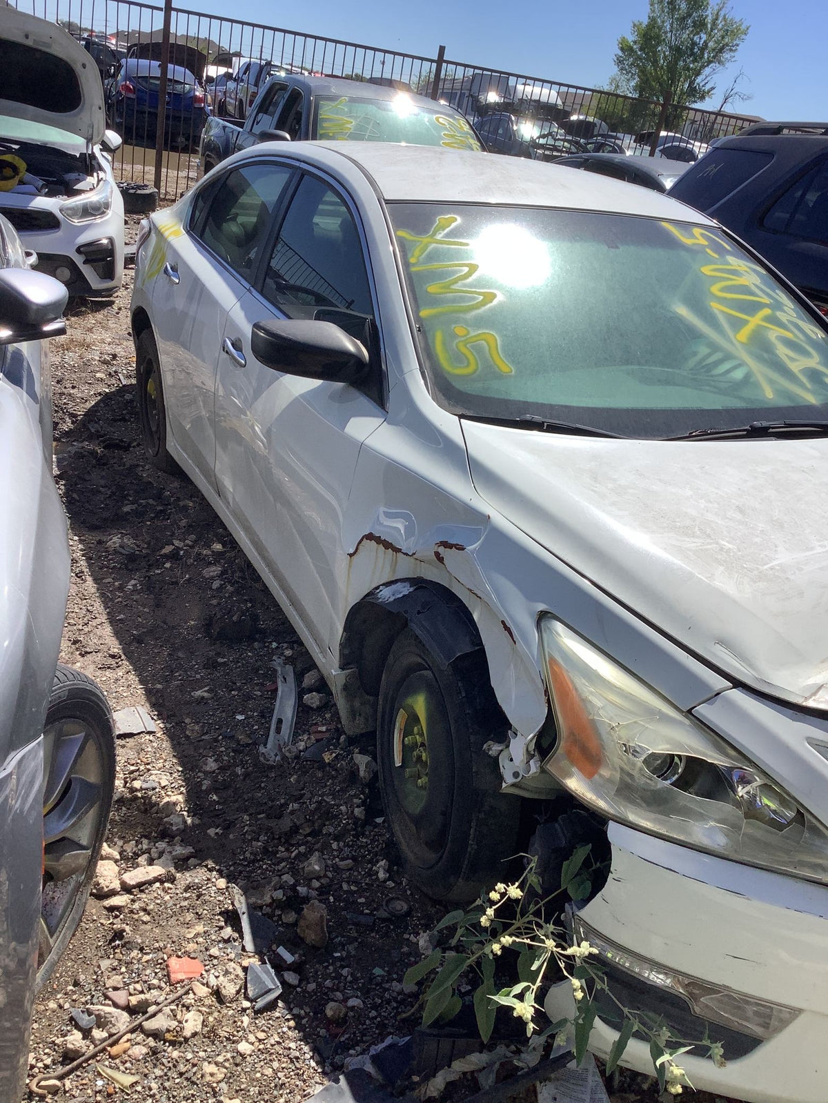 CA_VEHICLE_MEDIA:13203598579:3295129212