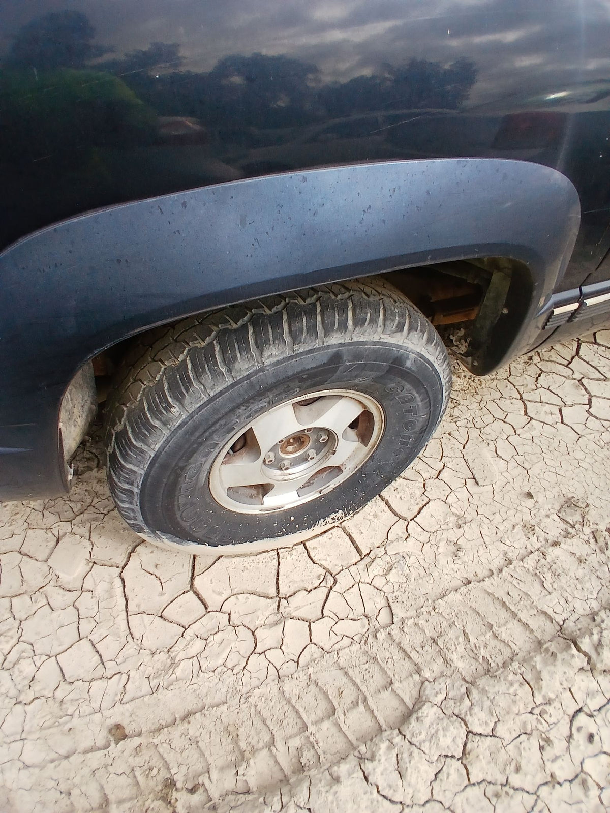 CA_VEHICLE_MEDIA:13262445702:3311280355