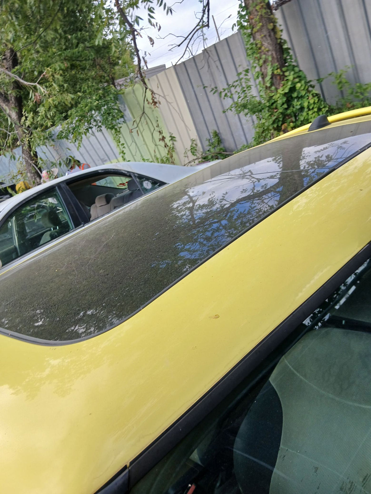 CA_VEHICLE_MEDIA:13262448405:3311154099