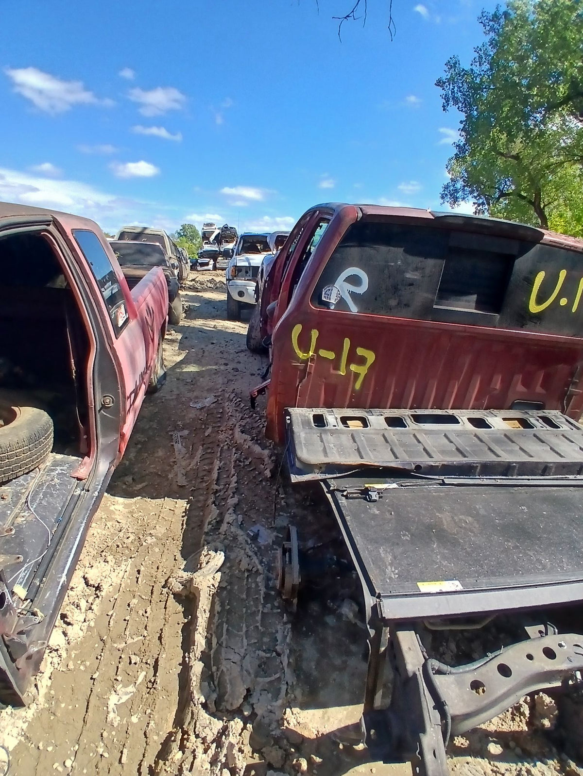 CA_VEHICLE_MEDIA:13262448409:3311792921