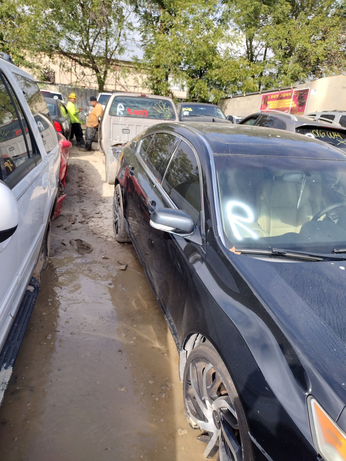 CA_VEHICLE_MEDIA:13262452328:3311188052
