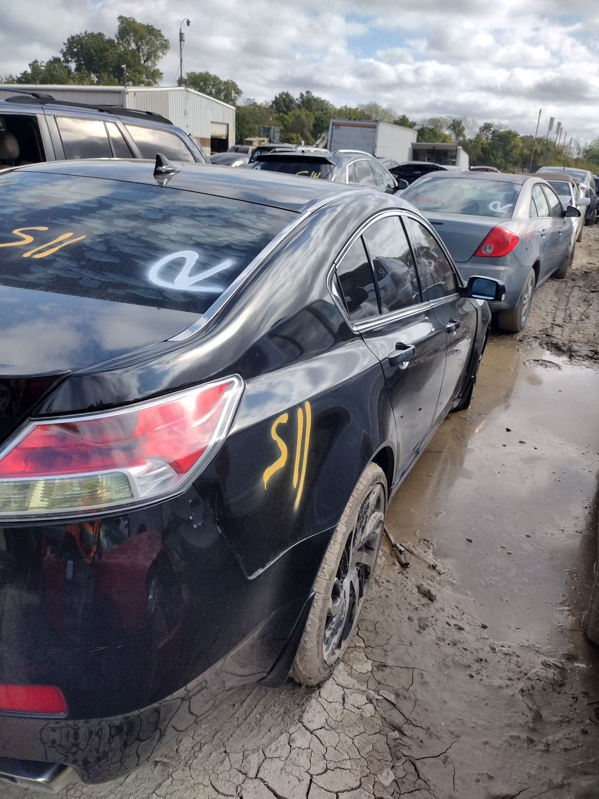 CA_VEHICLE_MEDIA:13262452328:3311188110