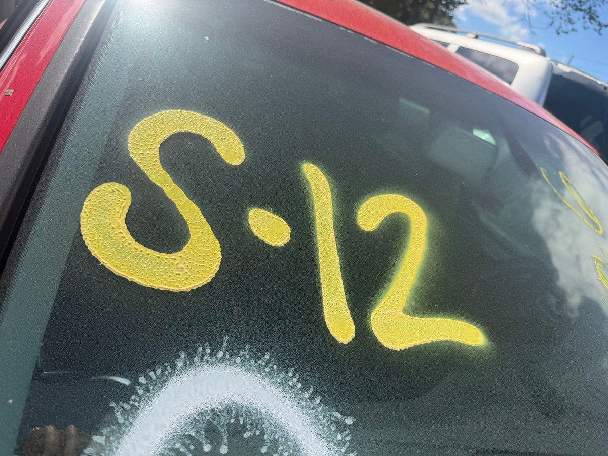 CA_VEHICLE_MEDIA:13262452329:3312109973
