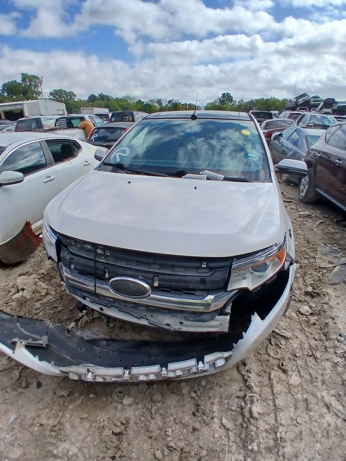 CA_VEHICLE_MEDIA:13262469890:3311296894