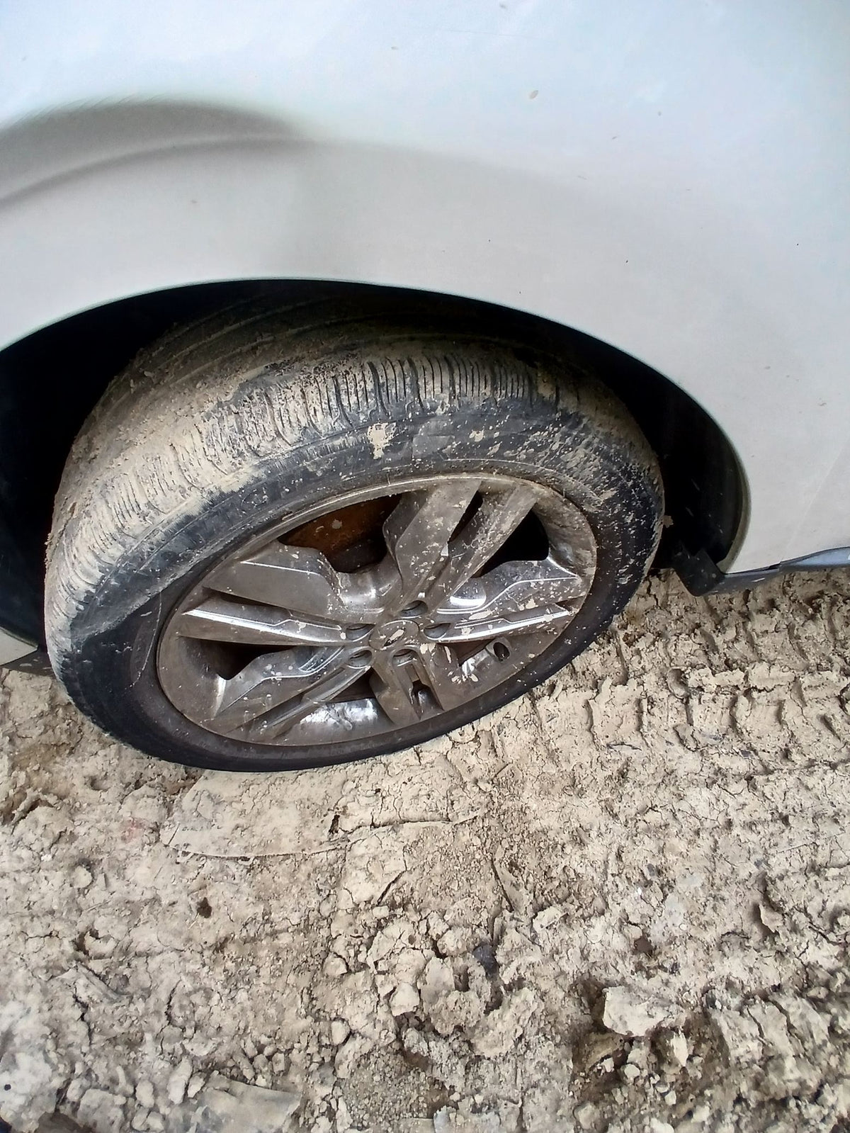 CA_VEHICLE_MEDIA:13262469890:3311300294