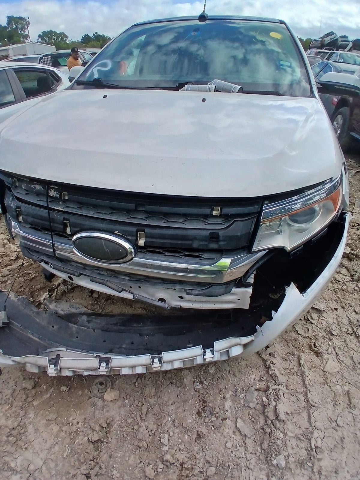 CA_VEHICLE_MEDIA:13262469890:3311300359
