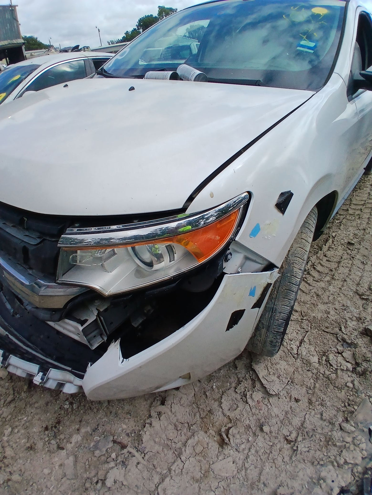 CA_VEHICLE_MEDIA:13262469890:3311300642