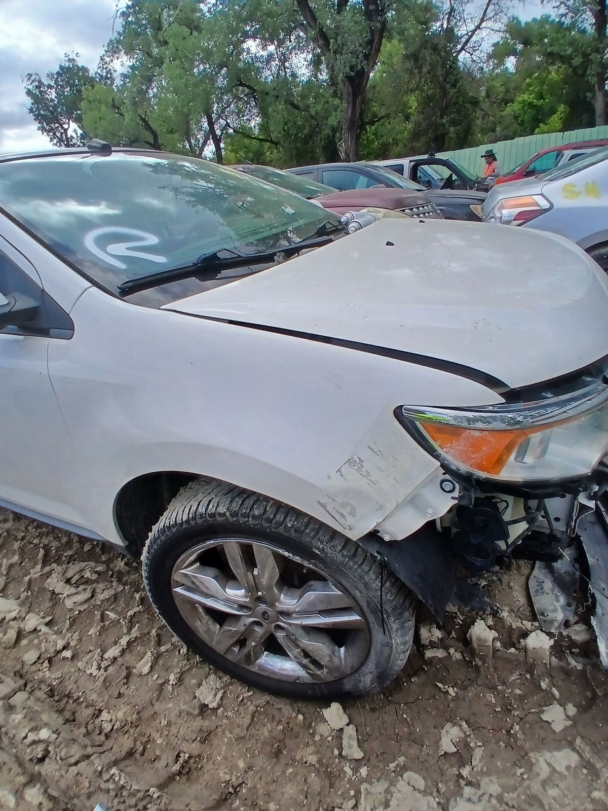 CA_VEHICLE_MEDIA:13262469890:3311300890
