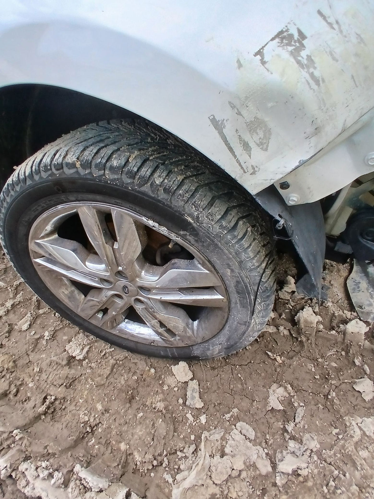 CA_VEHICLE_MEDIA:13262469890:3311301947