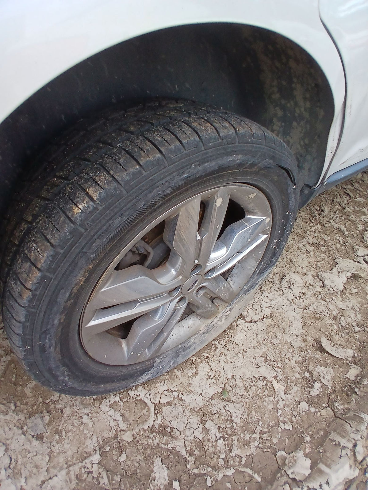 CA_VEHICLE_MEDIA:13262469890:3311302642