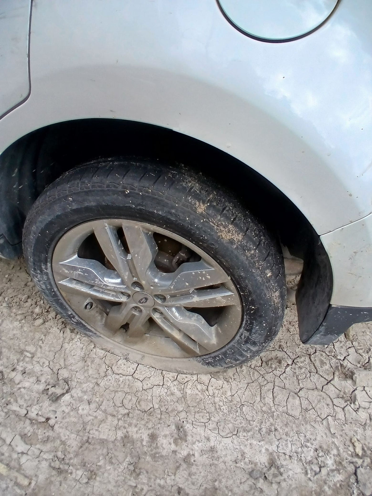 CA_VEHICLE_MEDIA:13262469890:3311303251