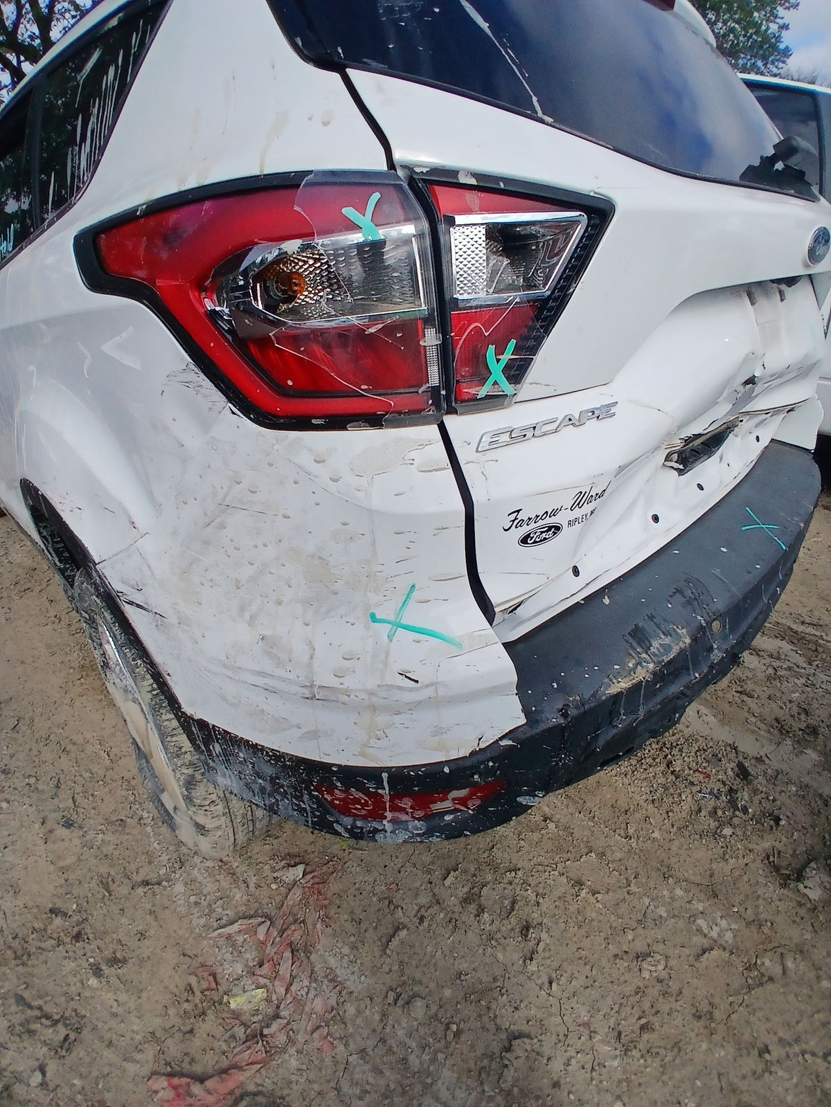 CA_VEHICLE_MEDIA:13262469891:3311170350