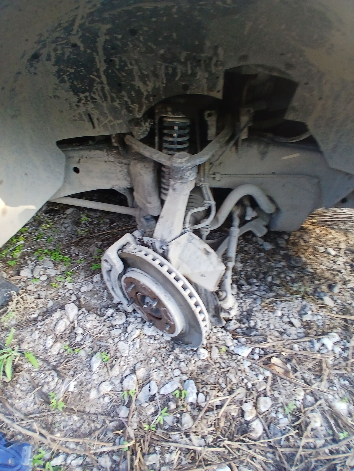 CA_VEHICLE_MEDIA:13262469892:3310960956