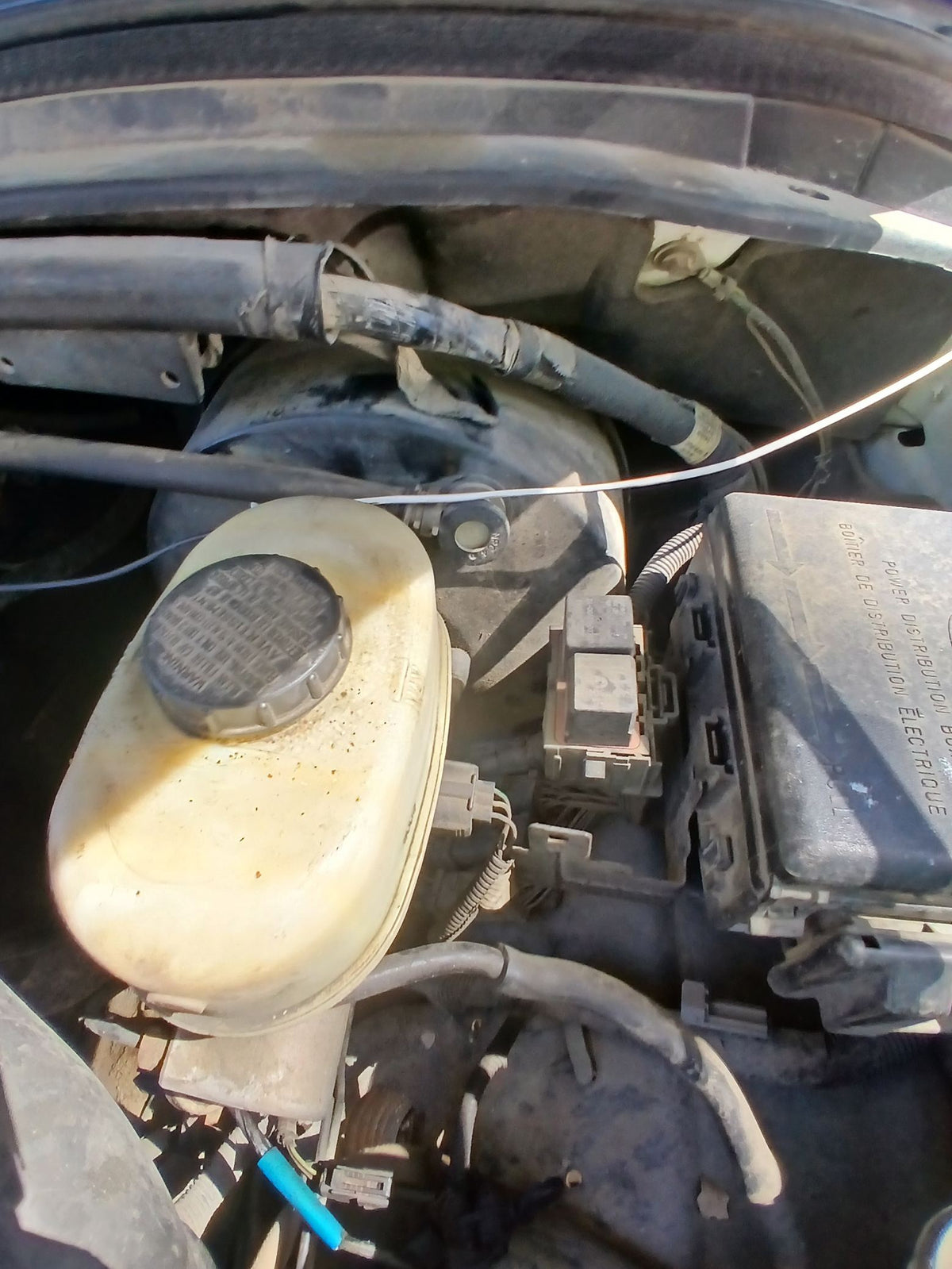 CA_VEHICLE_MEDIA:13262469895:3311693088