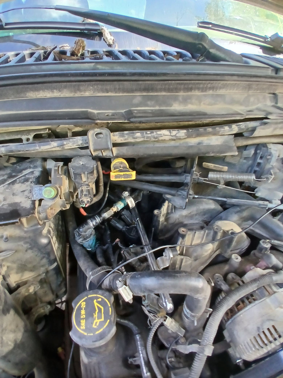 CA_VEHICLE_MEDIA:13262469895:3311695952