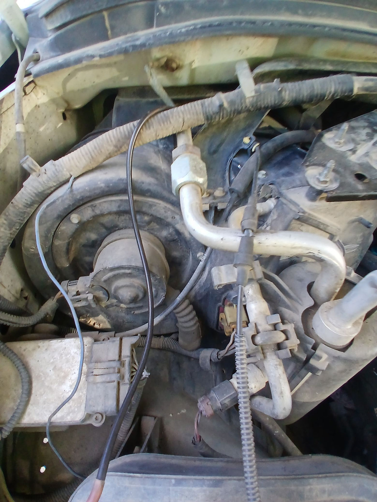 CA_VEHICLE_MEDIA:13262469895:3311695999