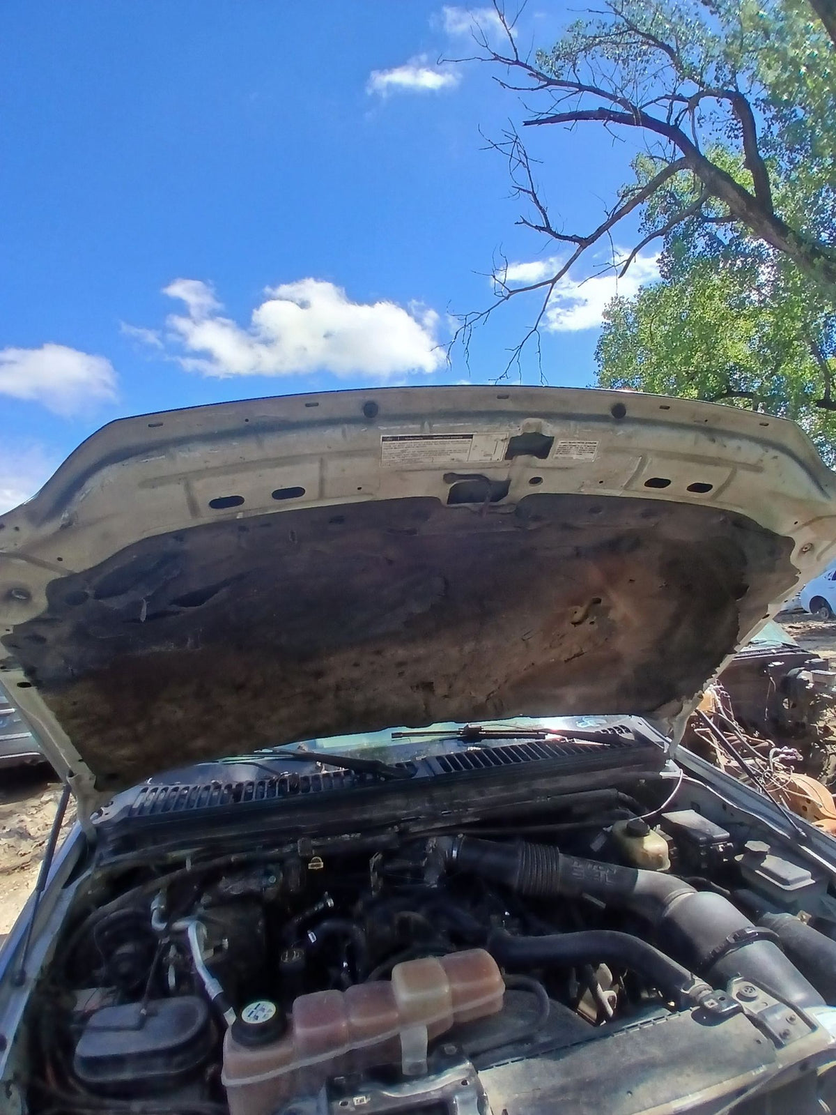 CA_VEHICLE_MEDIA:13262469895:3311696098