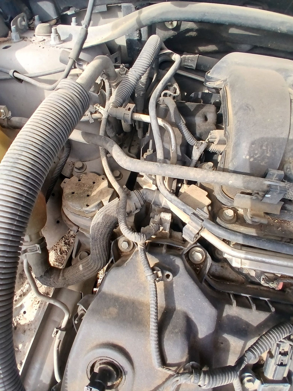 CA_VEHICLE_MEDIA:13262469896:3311216032
