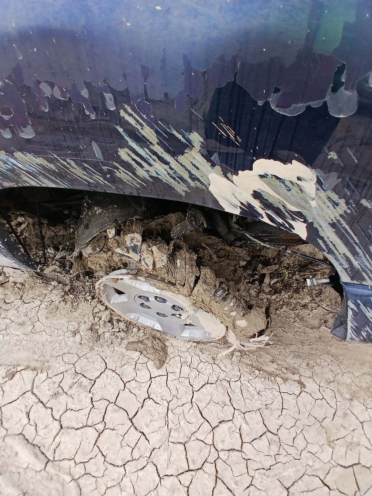 CA_VEHICLE_MEDIA:13262469915:3311380480