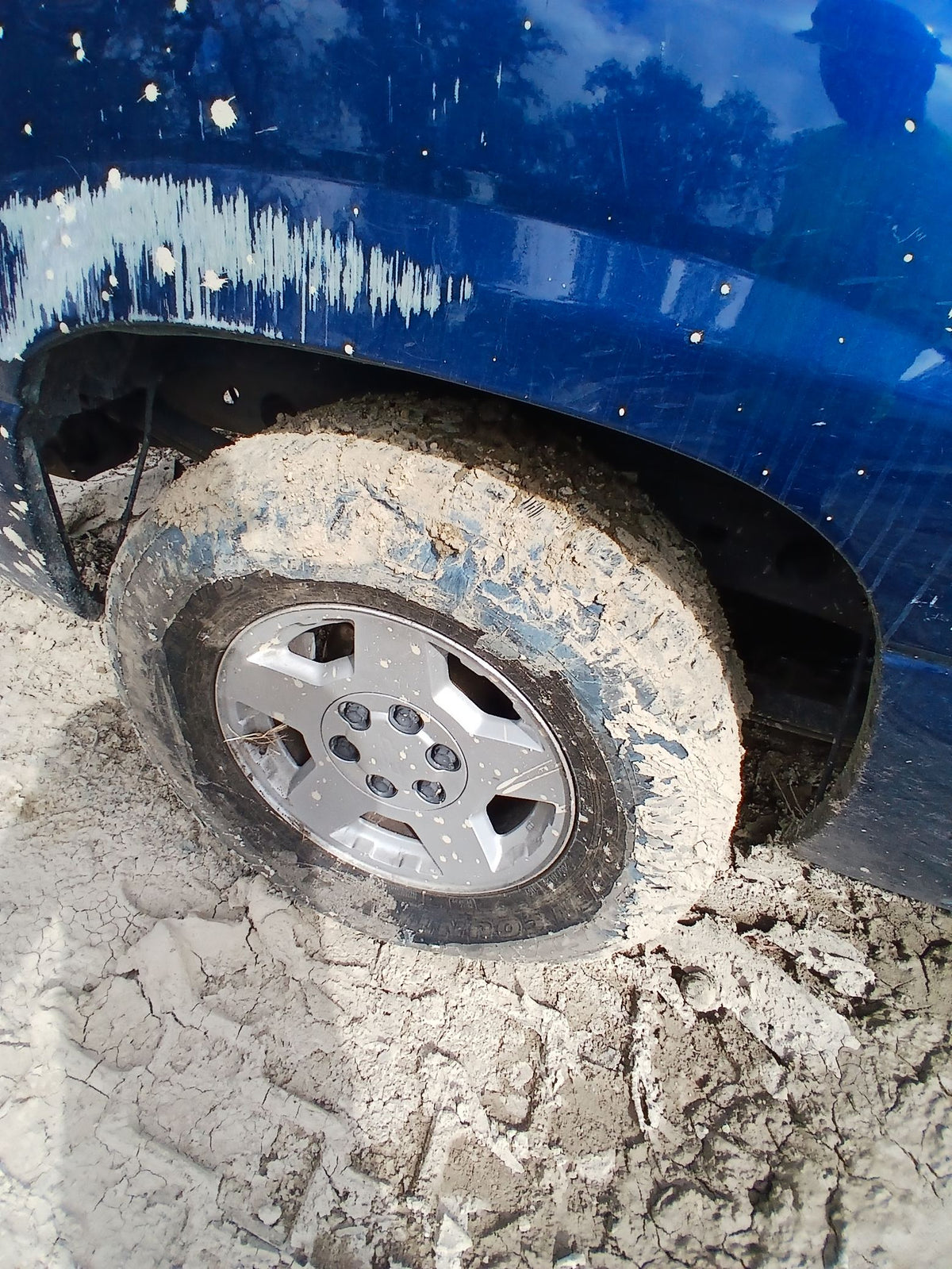 CA_VEHICLE_MEDIA:13262469915:3311380755