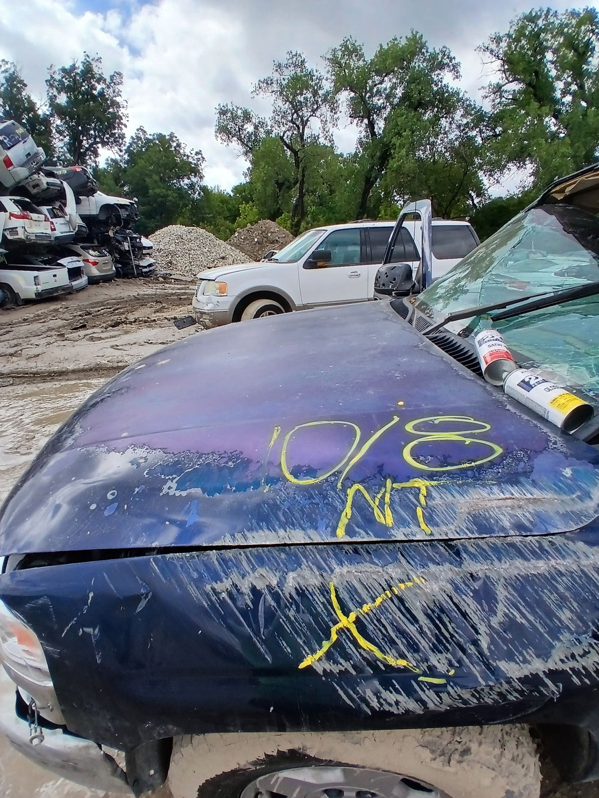 CA_VEHICLE_MEDIA:13262469915:3311381962