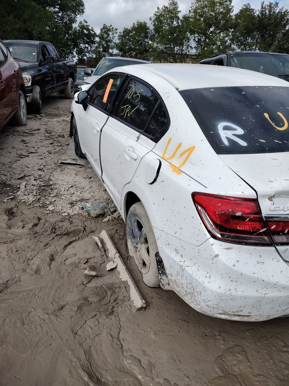 CA_VEHICLE_MEDIA:13262469916:3311278714