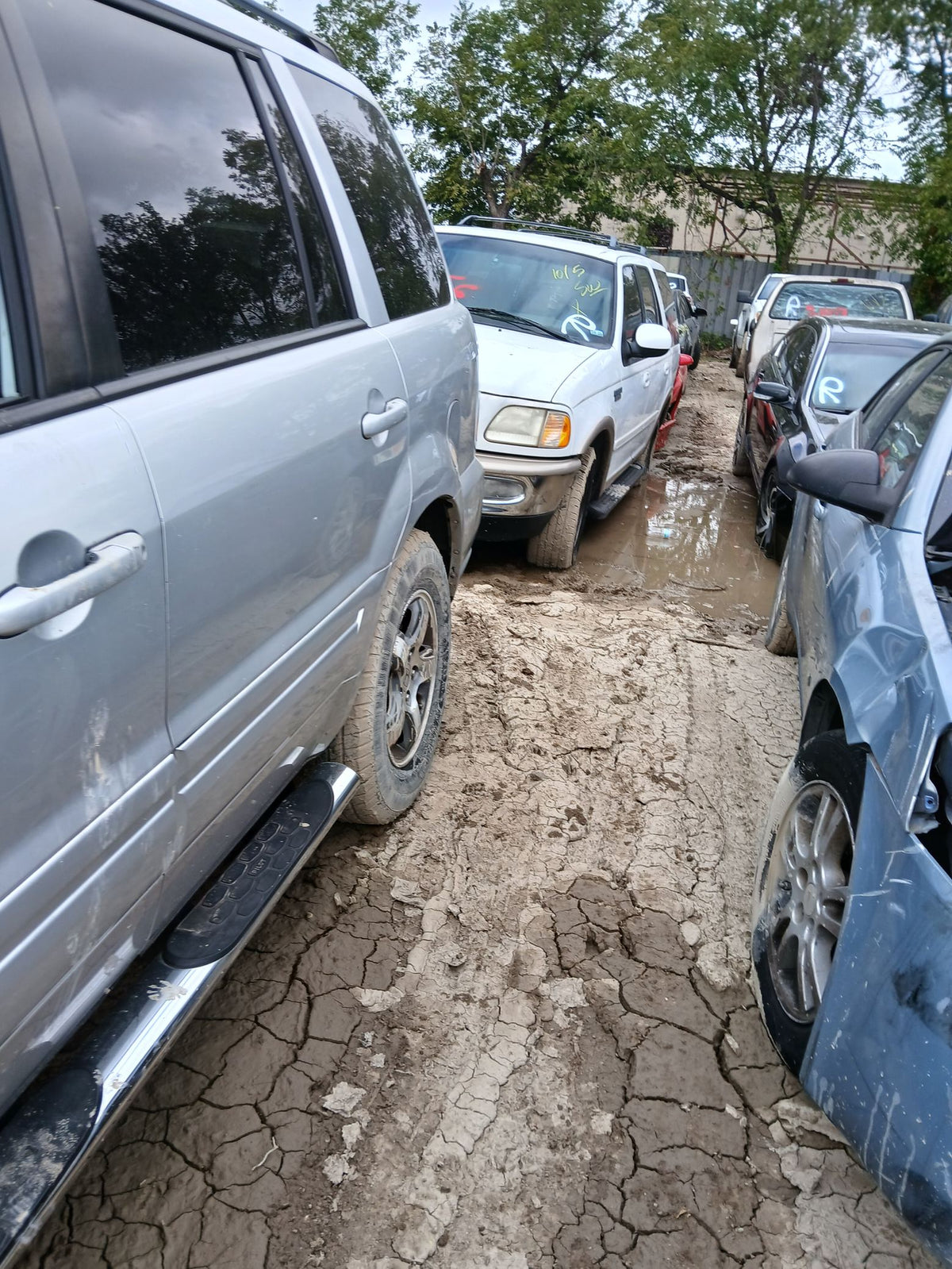 CA_VEHICLE_MEDIA:13262469918:3311247398