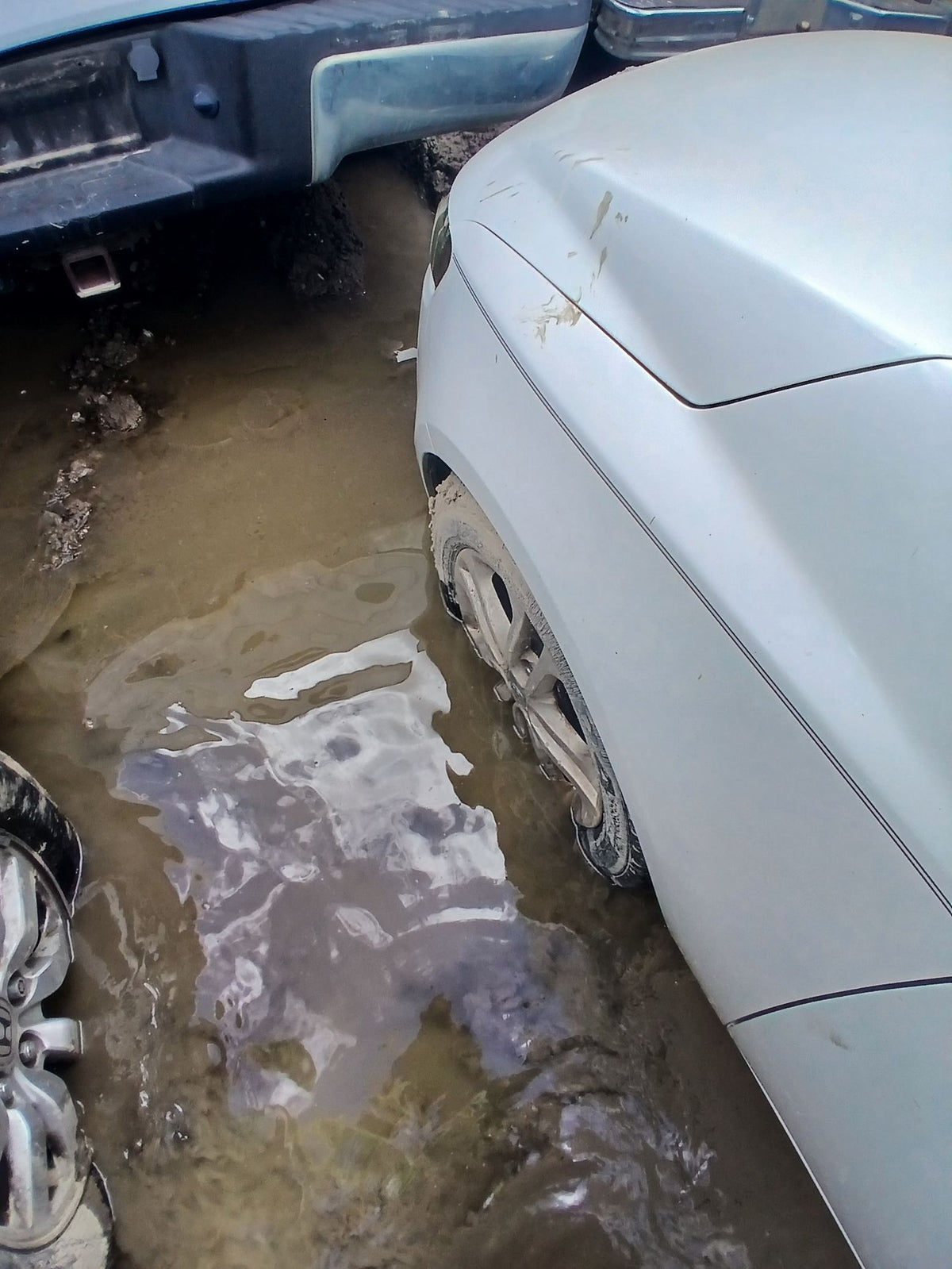 CA_VEHICLE_MEDIA:13262469923:3311968796