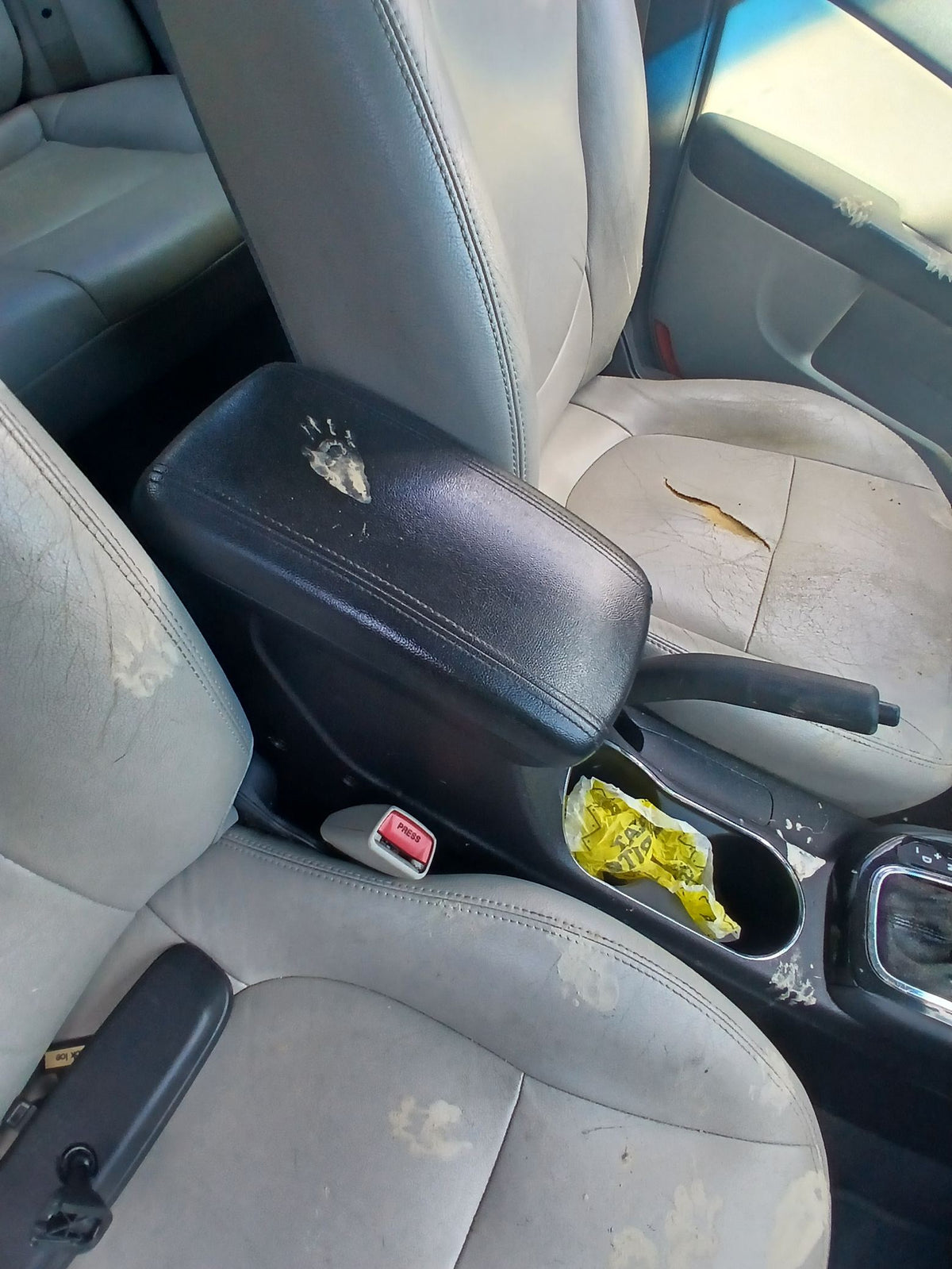 CA_VEHICLE_MEDIA:13262469923:3311971475