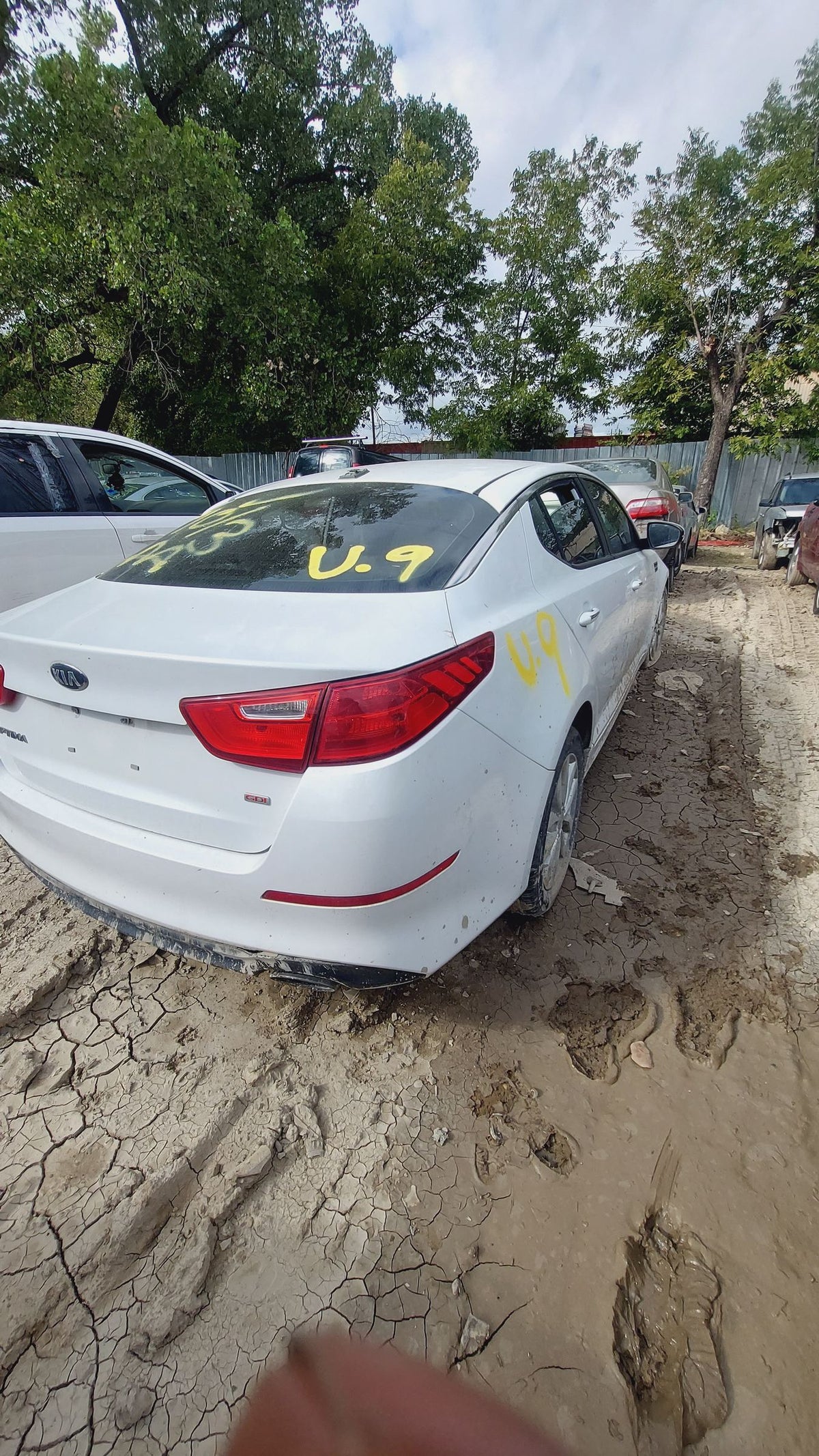 CA_VEHICLE_MEDIA:13262469942:3311230876