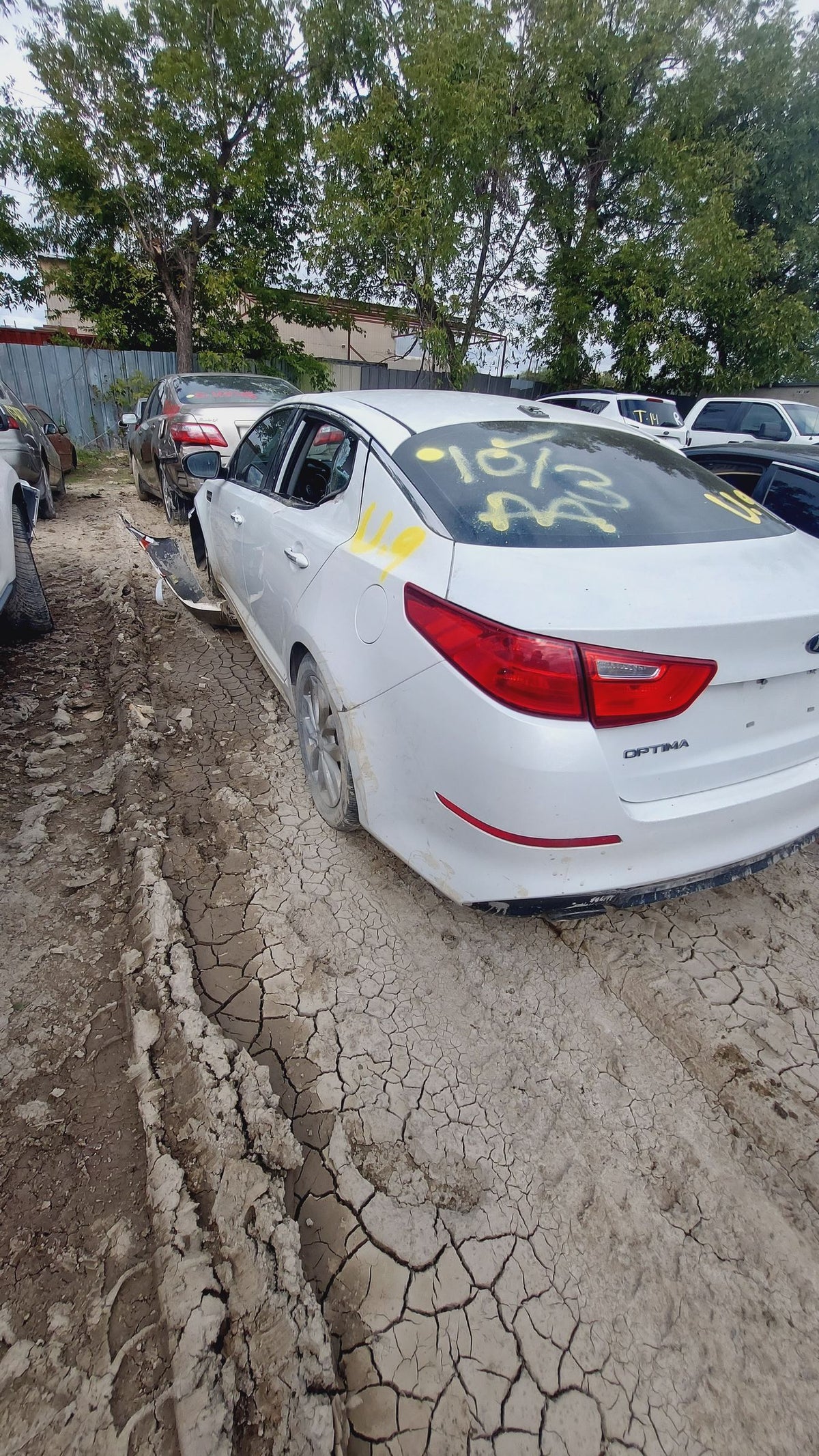 CA_VEHICLE_MEDIA:13262469942:3311231638
