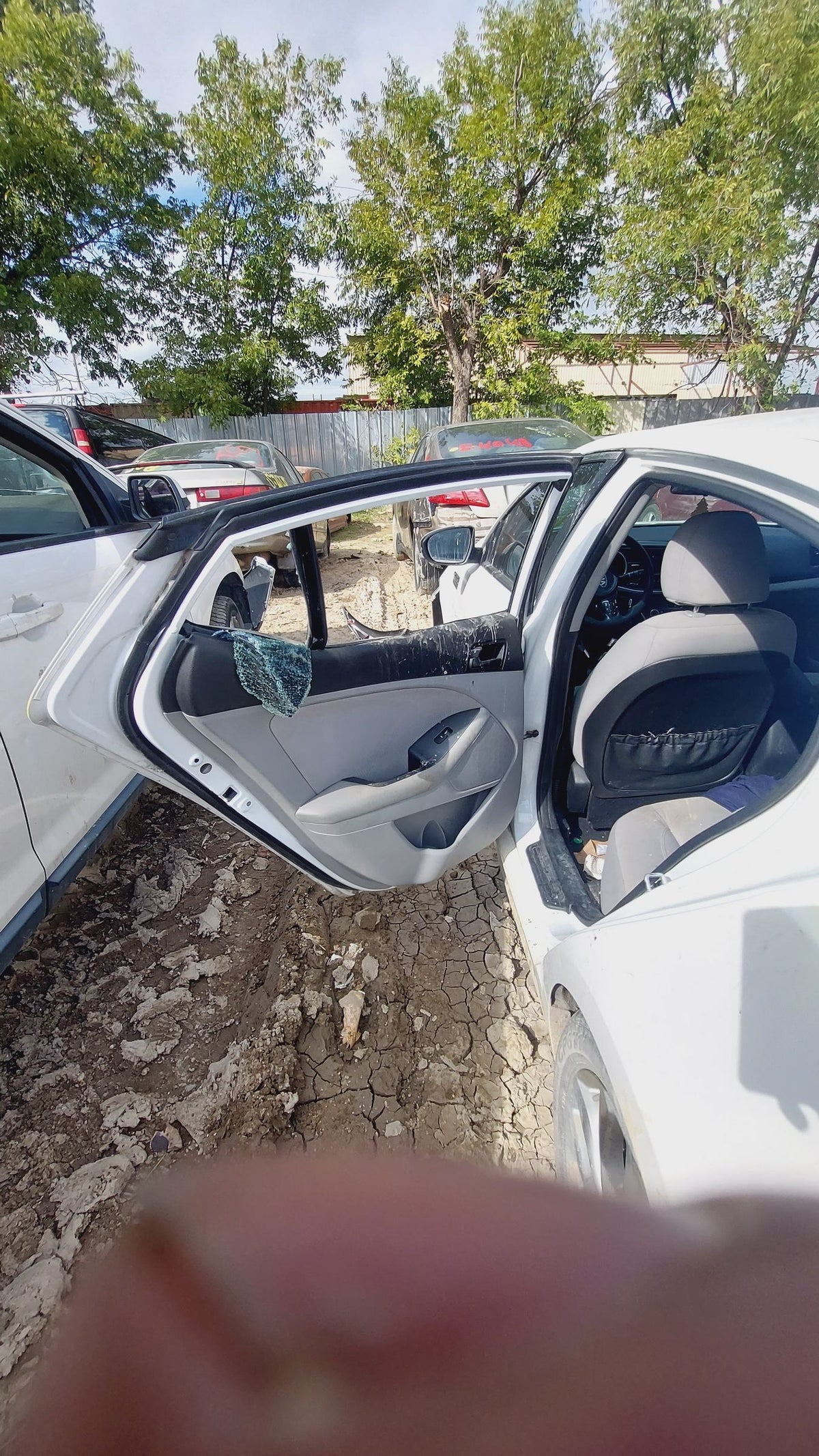 CA_VEHICLE_MEDIA:13262469942:3311268463