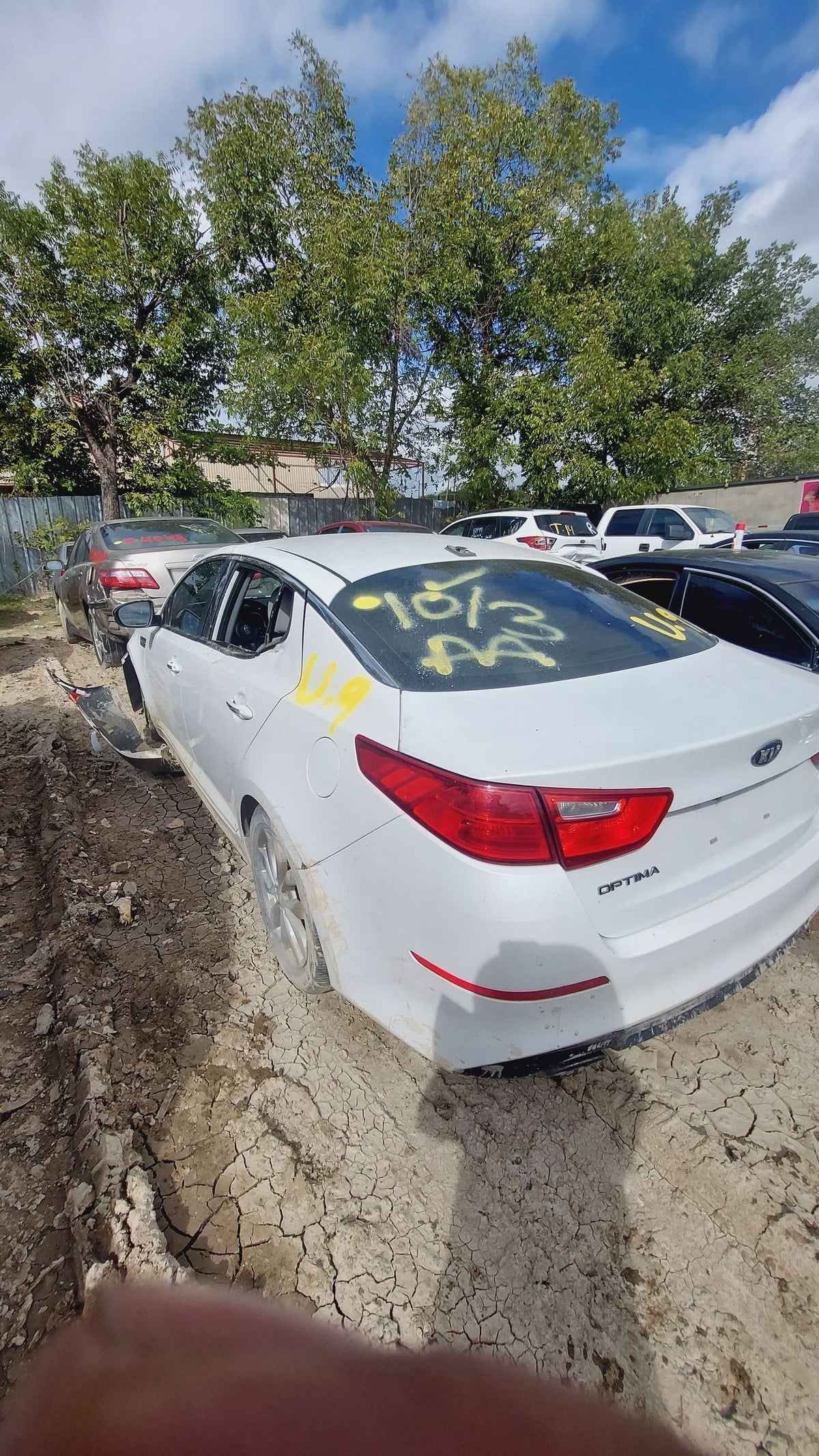 CA_VEHICLE_MEDIA:13262469942:3311280019