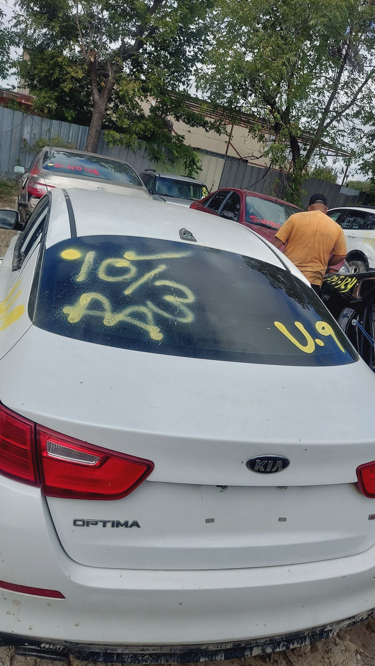 CA_VEHICLE_MEDIA:13262469942:3311280679