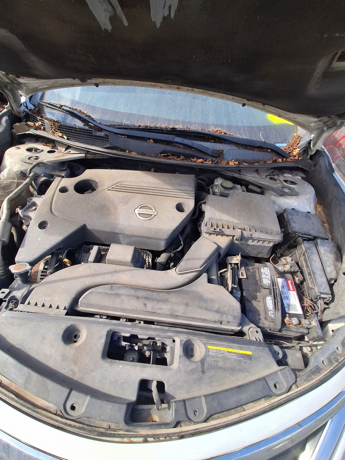 CA_VEHICLE_MEDIA:13262471118:3313413568