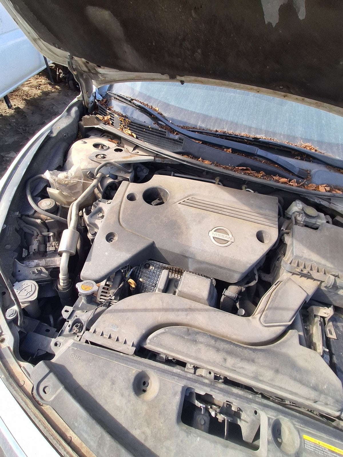 CA_VEHICLE_MEDIA:13262471118:3313413584