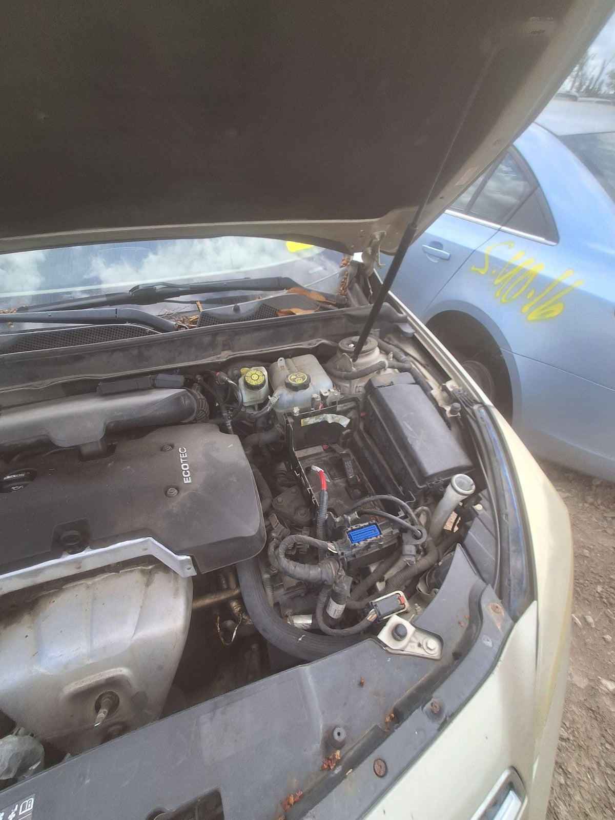 CA_VEHICLE_MEDIA:13262471120:3314156197