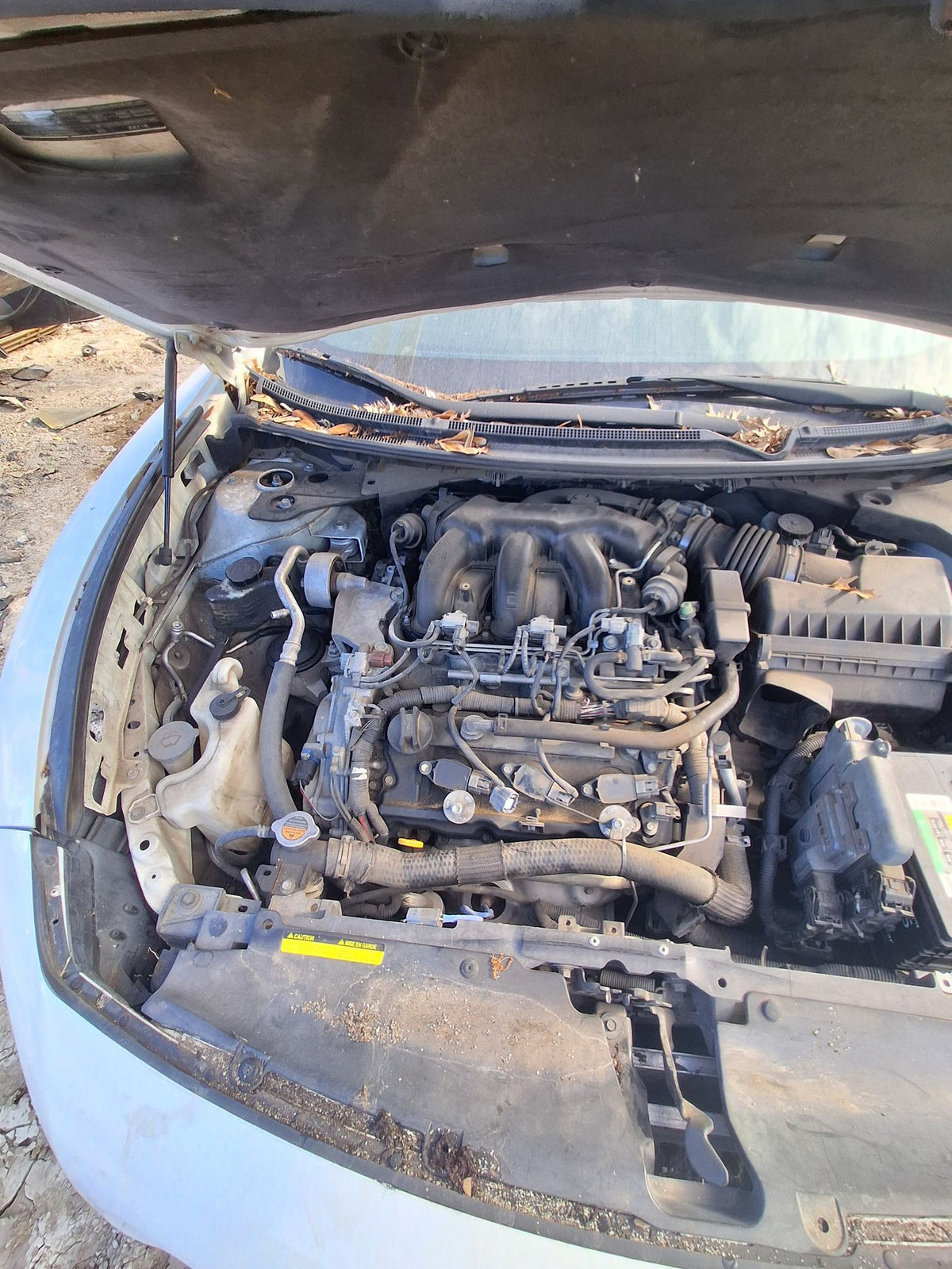 CA_VEHICLE_MEDIA:13262471121:3313397021