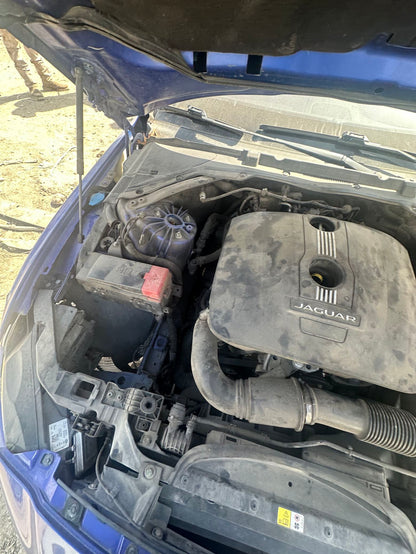 CA_VEHICLE_MEDIA:13262480944:3317544216