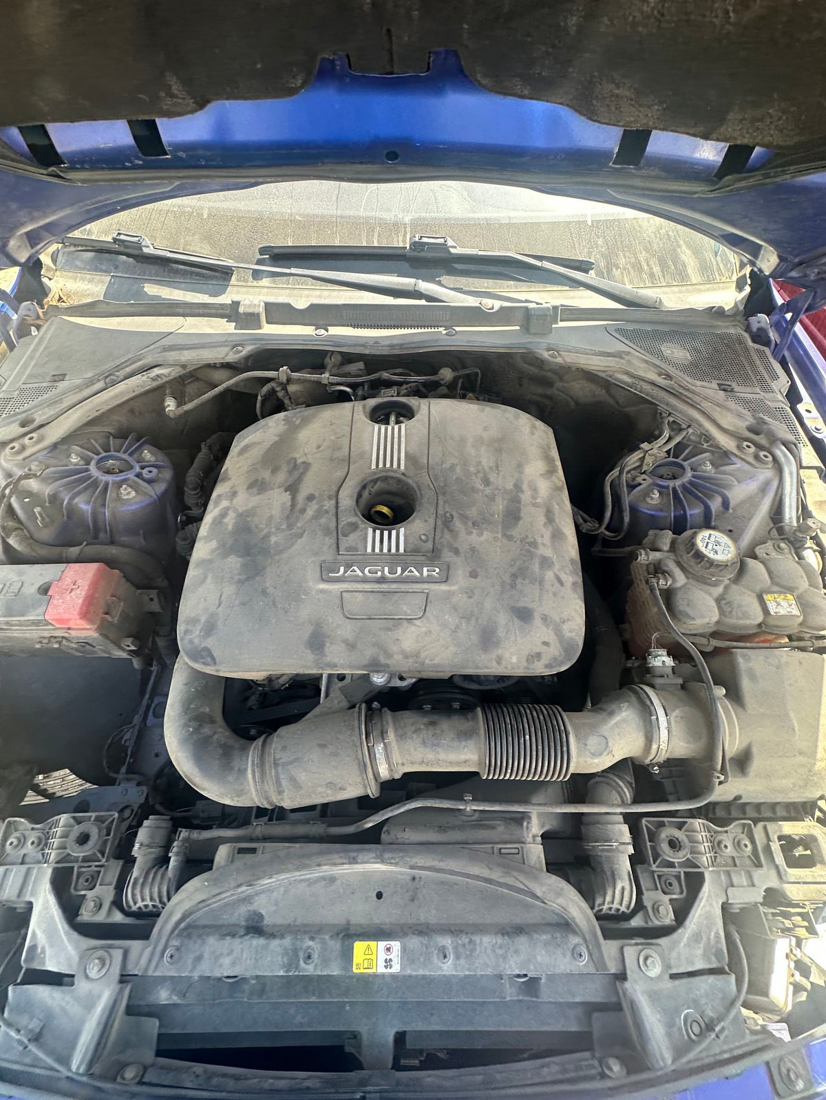 CA_VEHICLE_MEDIA:13262480944:3317544290