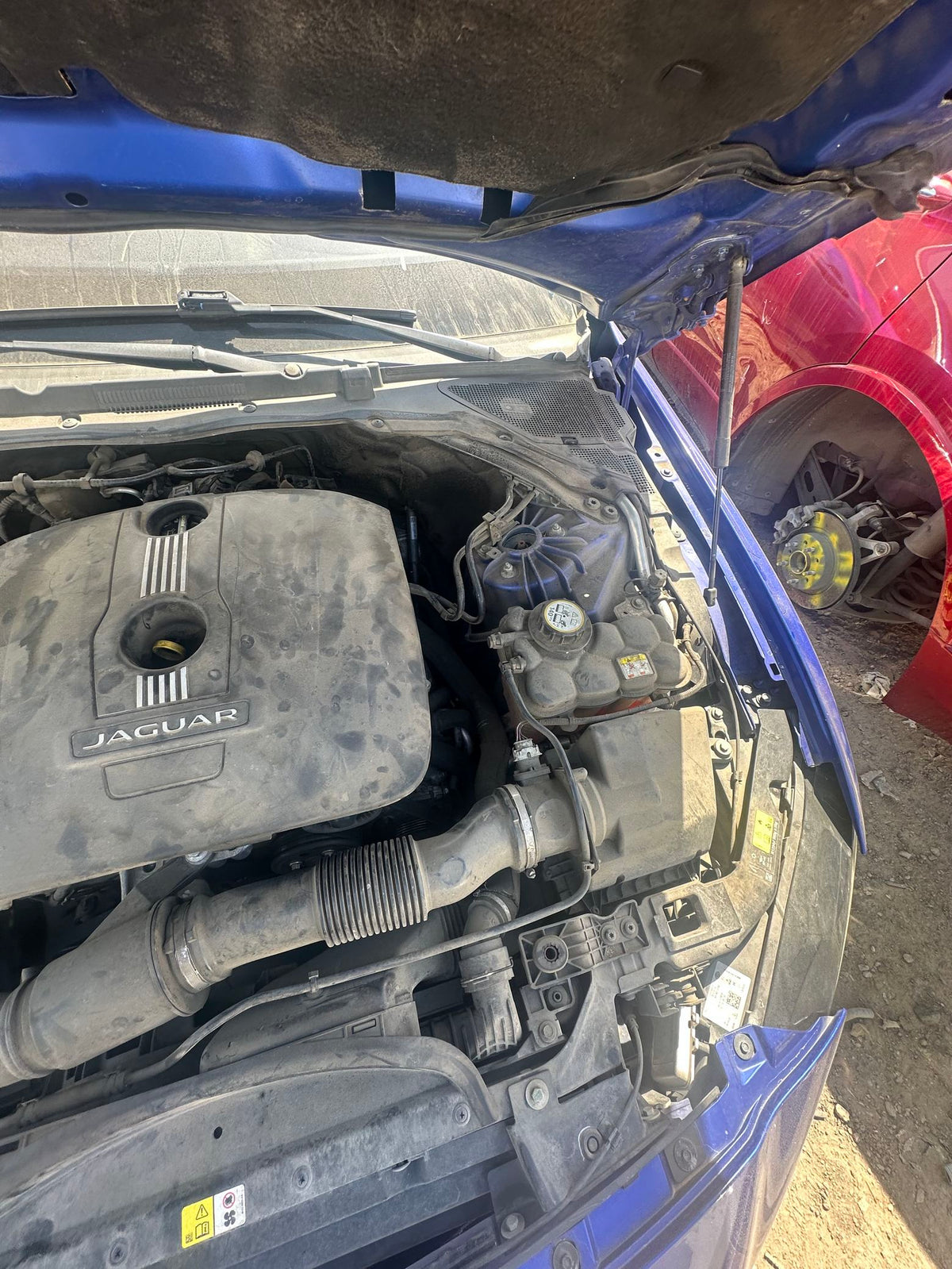CA_VEHICLE_MEDIA:13262480944:3317544295