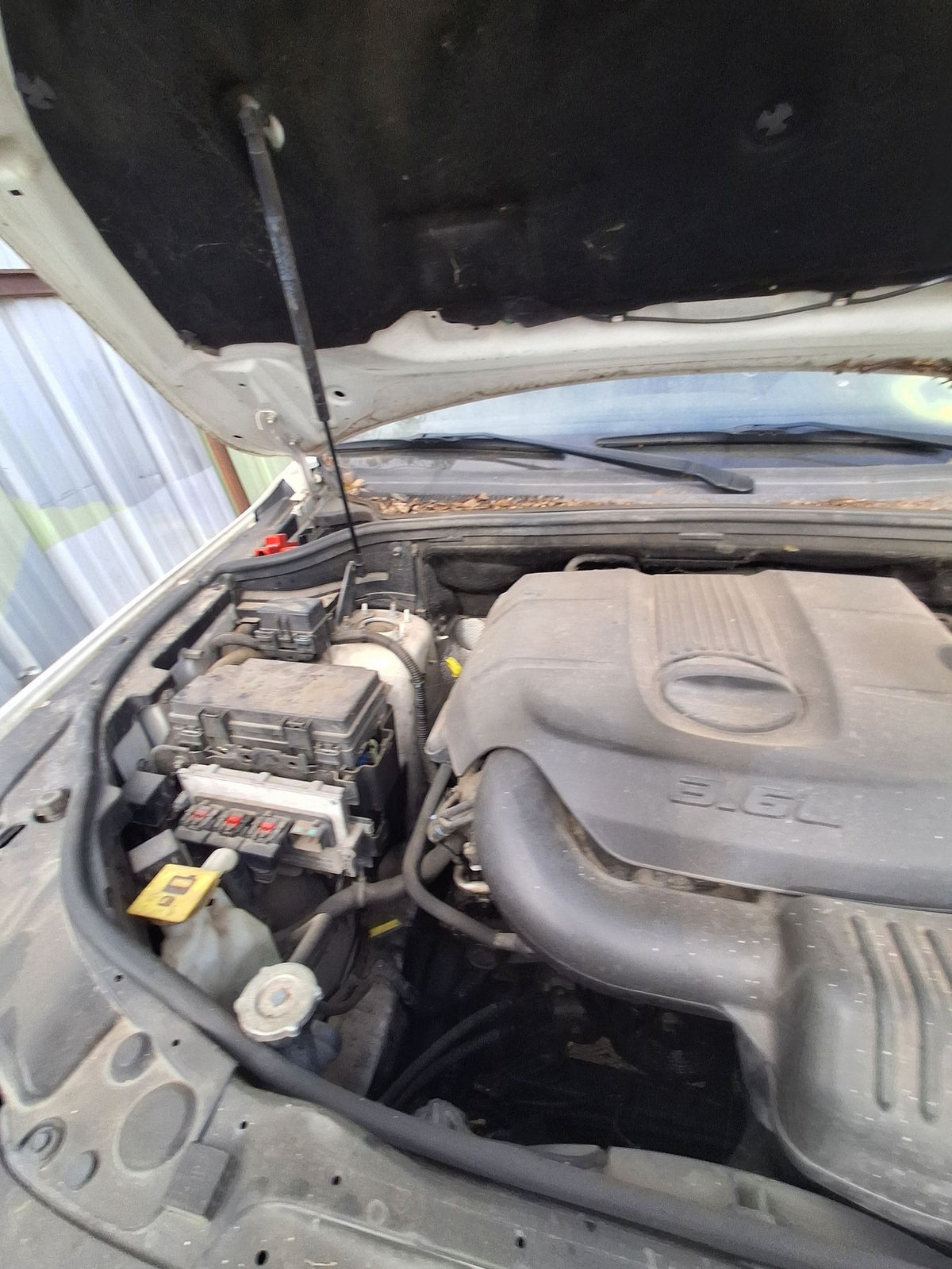 CA_VEHICLE_MEDIA:13262480947:3313627796