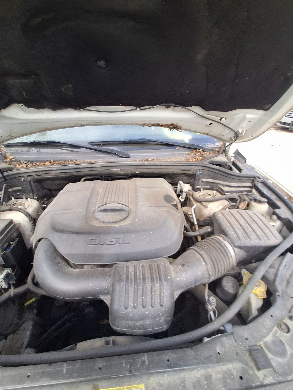CA_VEHICLE_MEDIA:13262480947:3313628594