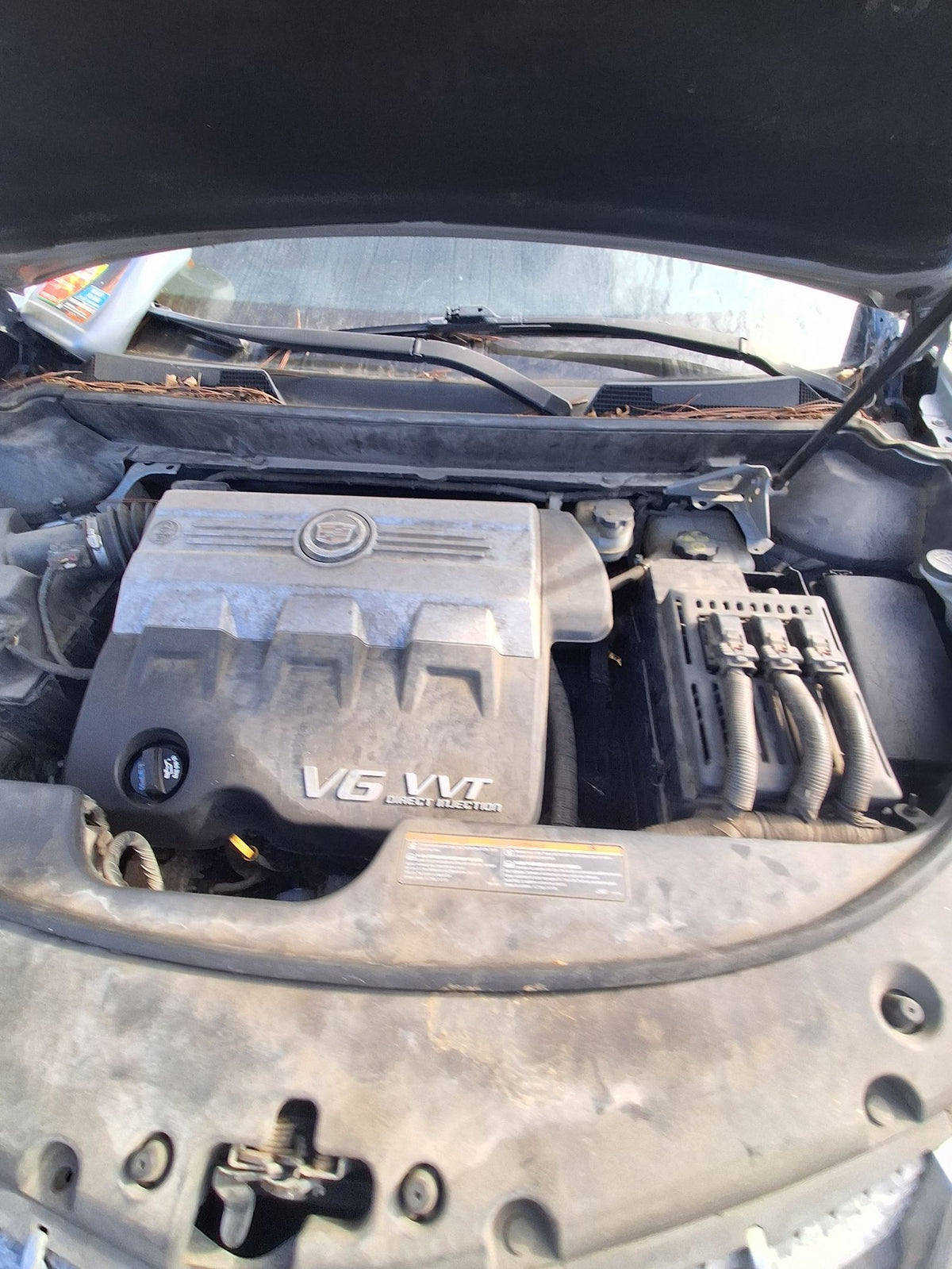 CA_VEHICLE_MEDIA:13262480951:3313406358