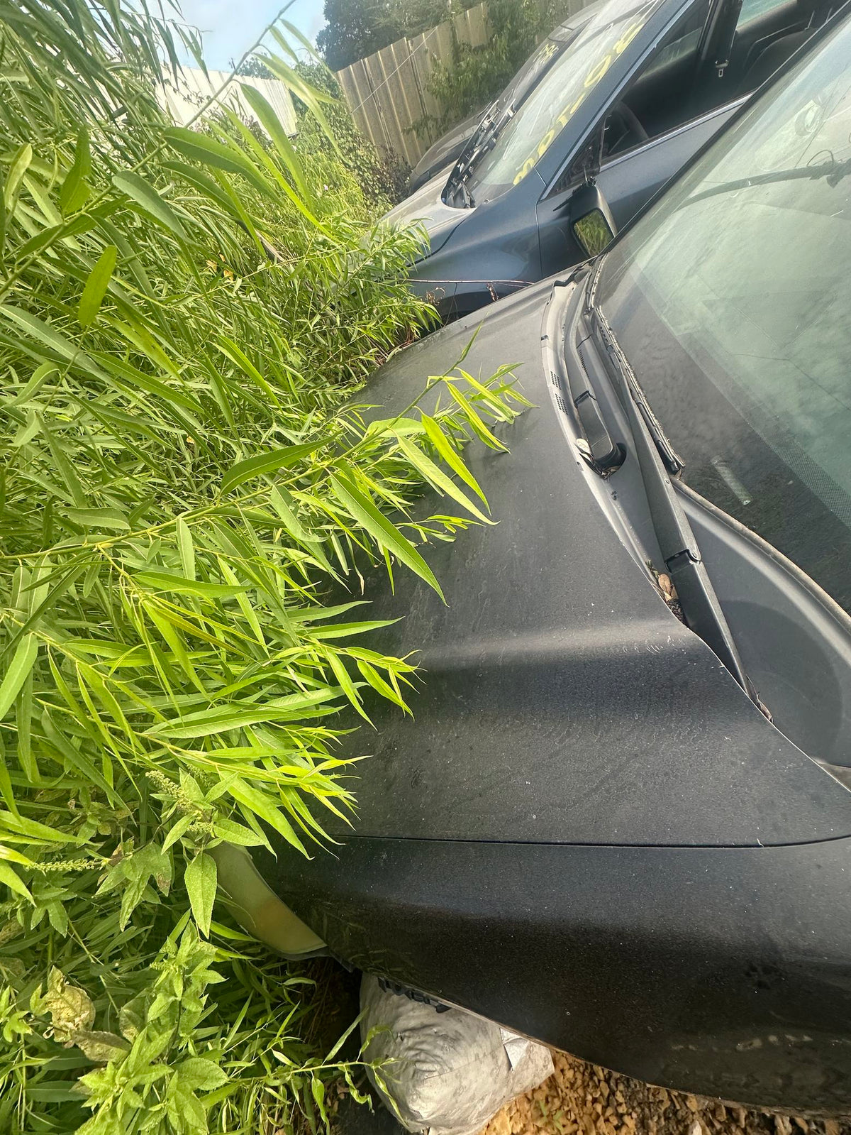 CA_VEHICLE_MEDIA:13262511368:3311405698