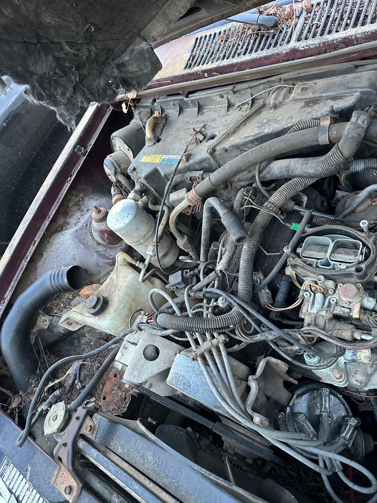 CA_VEHICLE_MEDIA:13323102457:3329526458