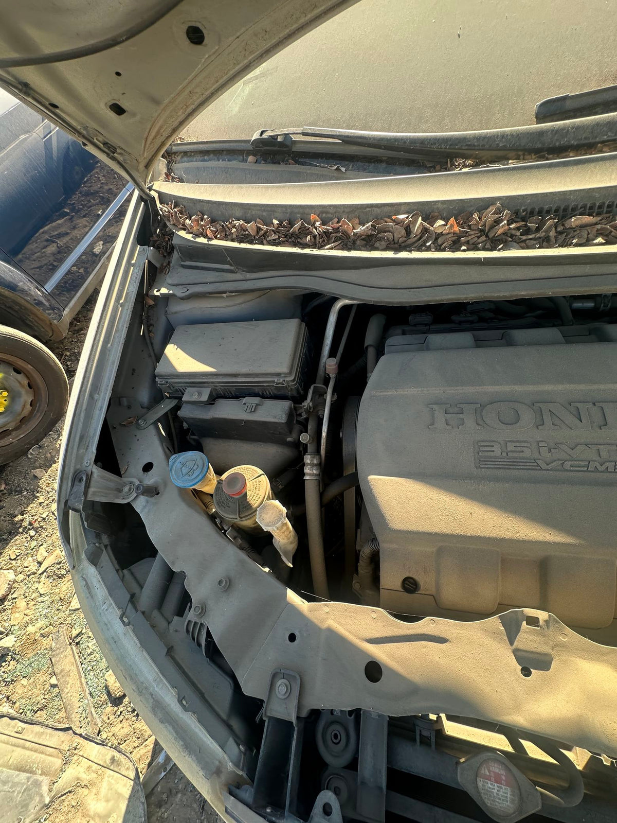 CA_VEHICLE_MEDIA:13323115547:3332876359
