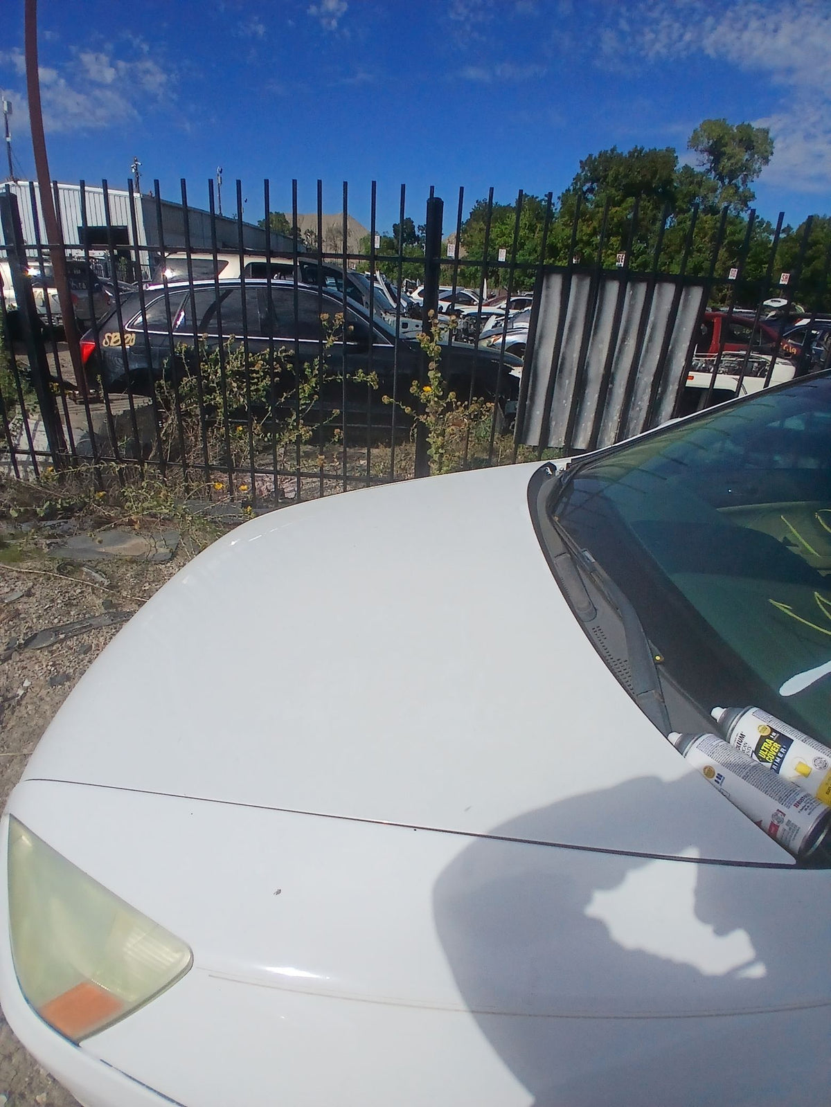 CA_VEHICLE_MEDIA:13323162557:3327338200