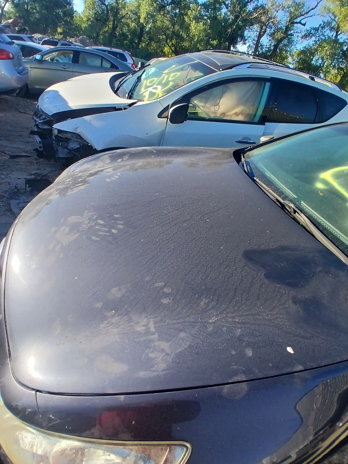 CA_VEHICLE_MEDIA:13323162563:3326051484