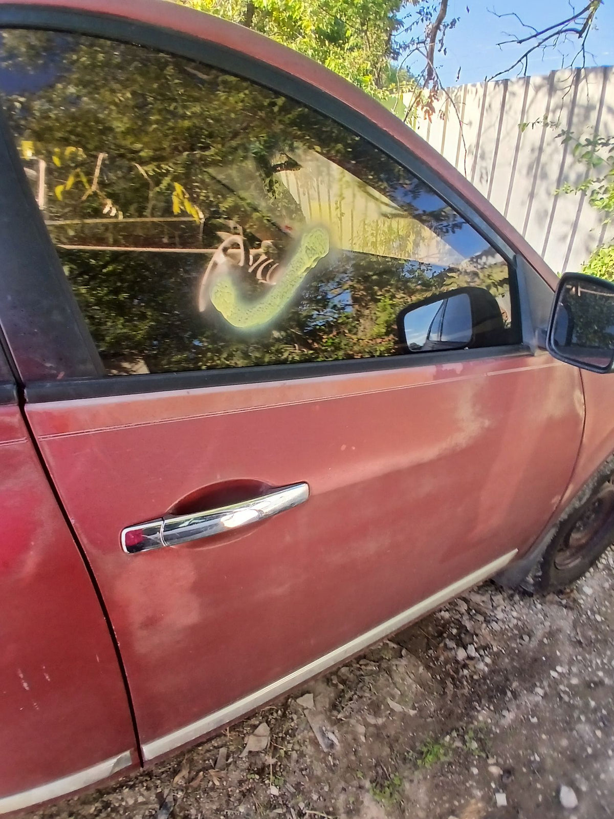 CA_VEHICLE_MEDIA:13323210233:3326184955
